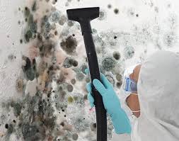 Mold Removal